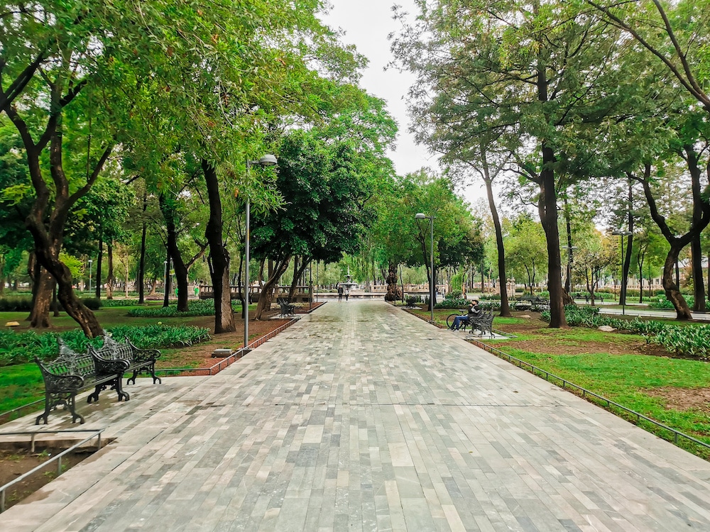 Alameda Park Mexico City